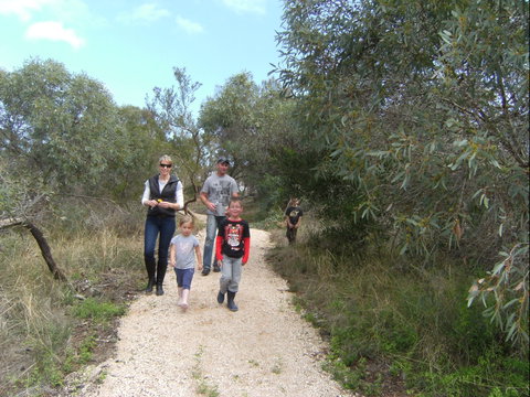 Meningie Lions Walking Trail - Tourism Brisbane 0