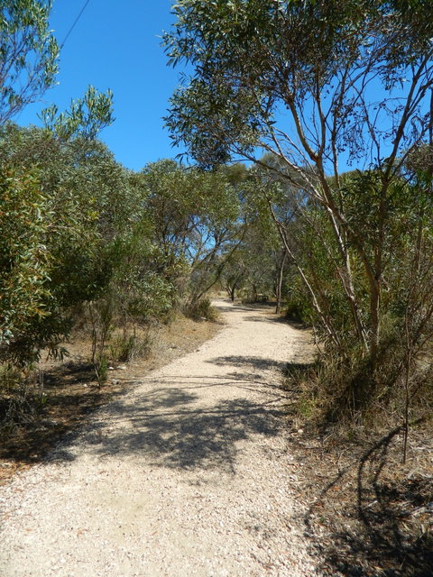 Meningie Lions Walking Trail - Tourism Brisbane 2
