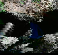 Natural Bridge Circuit Springbrook National Park - Brisbane 4u