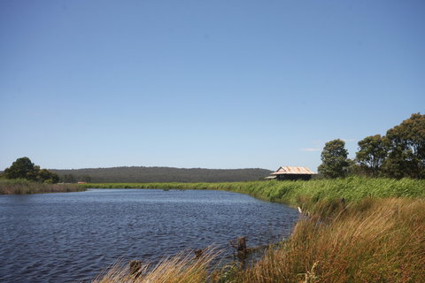 Panboola Wetlands - Tourism Brisbane 0