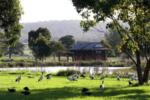Panboola Wetlands - Tourism Brisbane 1