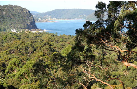 Patonga To Pearl Beach Walking Track - Brisbane Tourism 0