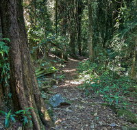 Pholis Gap Walking Track - Tourism Brisbane