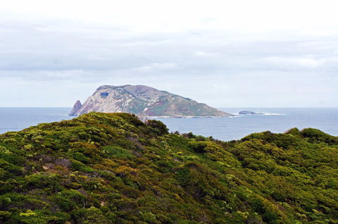 Point D'Entrecasteaux - Tourism Brisbane 0