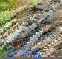 Queens Park Waterfall - Brisbane Tourism