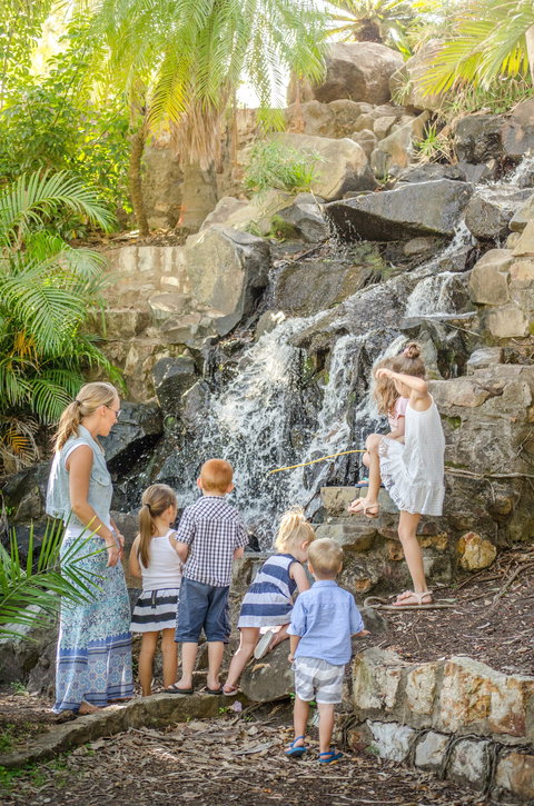 Queens Park Waterfall - Tourism Brisbane 0