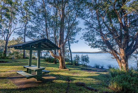 Queens Lake Picnic Area - Brisbane Tourism 0