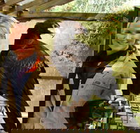 Raptor Domain - Tourism Brisbane