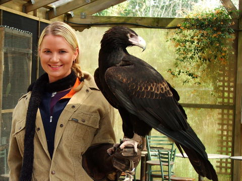 Raptor Domain - Tourism Brisbane 0