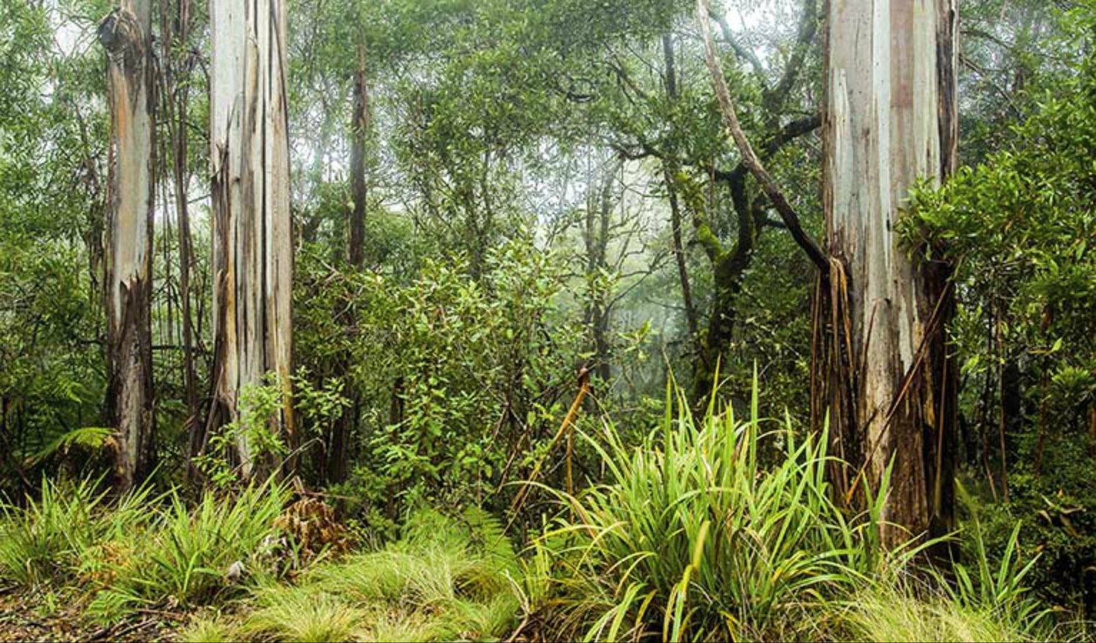 Wyneden NSW Brisbane Tourism