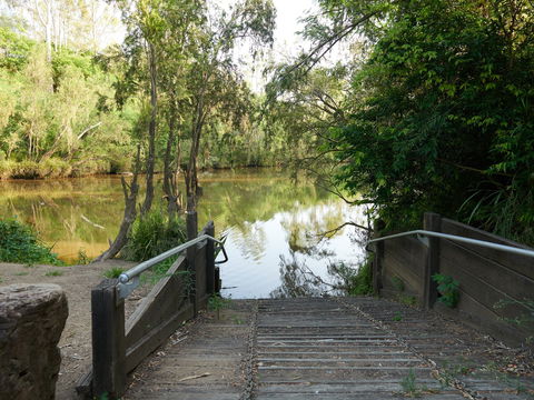 Shapcott Park - Tourism Brisbane 0