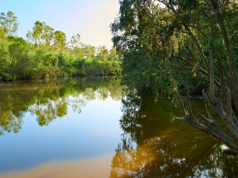 Shapcott Park - Tourism Brisbane 1