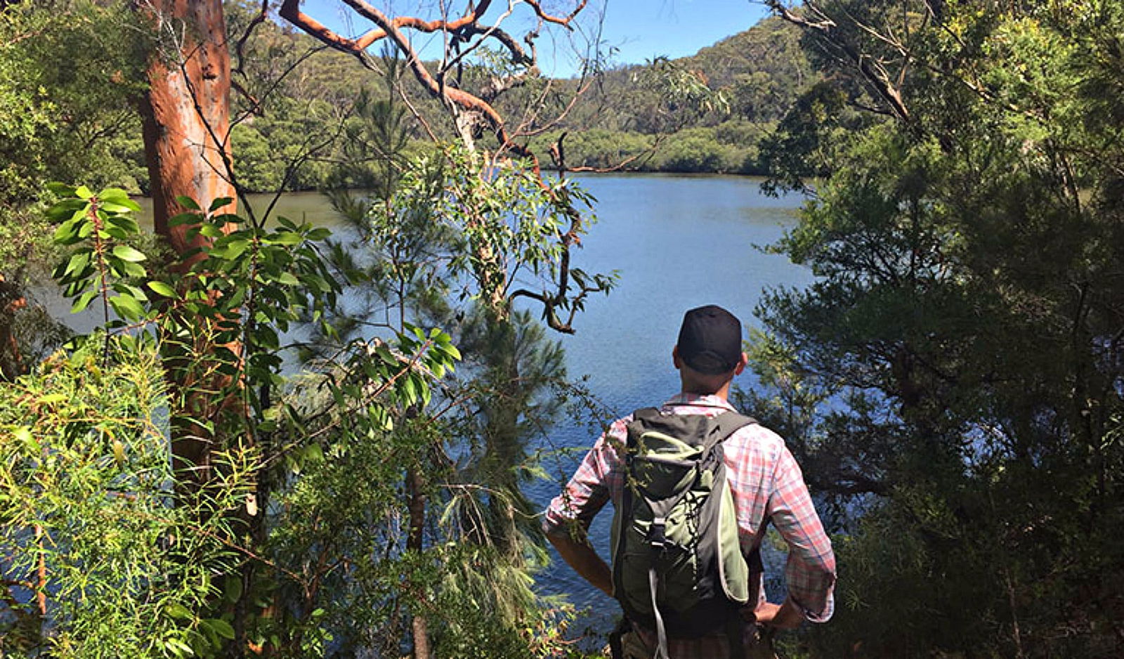 North Turramurra NSW Tourism Brisbane