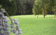 Springwood Country Club - thumb 0