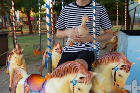 Swan Valley Cuddly Animal Farm - Brisbane Tourism 2