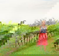 Swan Valley - Tourism Brisbane