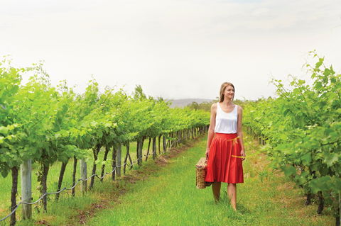 Swan Valley - Tourism Brisbane 0