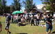 The Rotary Markets, Kadina - thumb 2