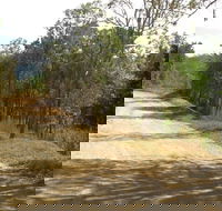 The Bloomfield Track - Tourism Brisbane