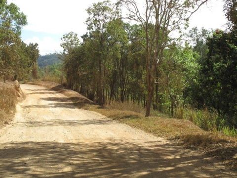 The Bloomfield Track - Brisbane Tourism 0