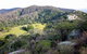The Bellbird - thumb 0