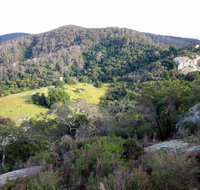 The Bellbird - Tourism Brisbane