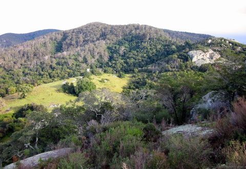 The Bellbird - Tourism Brisbane 0