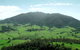 The Bellbird - thumb 1