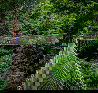 Thunderbird Park  - Tamborine Mountain Gold Coast Region - Tourism Brisbane