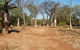 Timber Creek - thumb 1