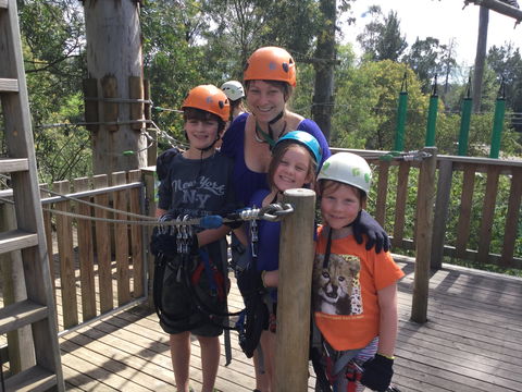 Trees Adventure - Glen Harrow Park - Tourism Brisbane 1