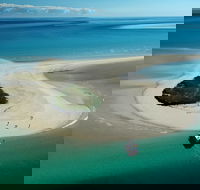 Turtle Discovery - Tourism Brisbane