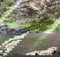 Twin Falls Circuit Springbrook National Park - Brisbane 4u