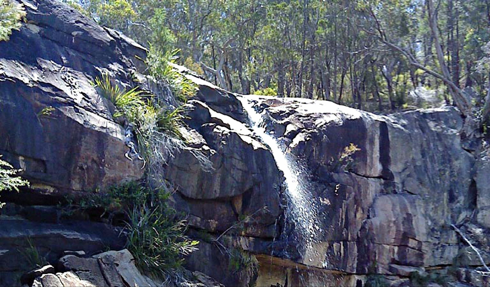 Torrington NSW Tourism Brisbane