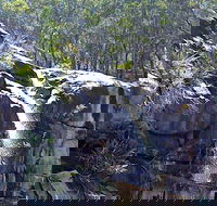 Ugly Corner Falls Walking Track - Tourism Brisbane