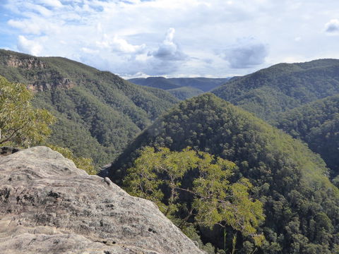 Vale Of Avoca - Brisbane 4u 0