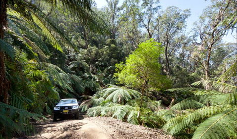Wadbilliga Road Drive - Brisbane 4u 0