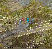 Walpole Wilderness Discovery Centre - Brisbane 4u