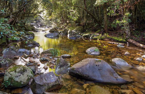Washpool Walking Track - Tourism Brisbane 0