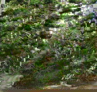 Way Way Creek Road Drive - Tourism Brisbane