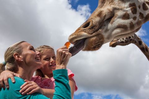 Werribee Open Range Zoo - Tourism Brisbane 2