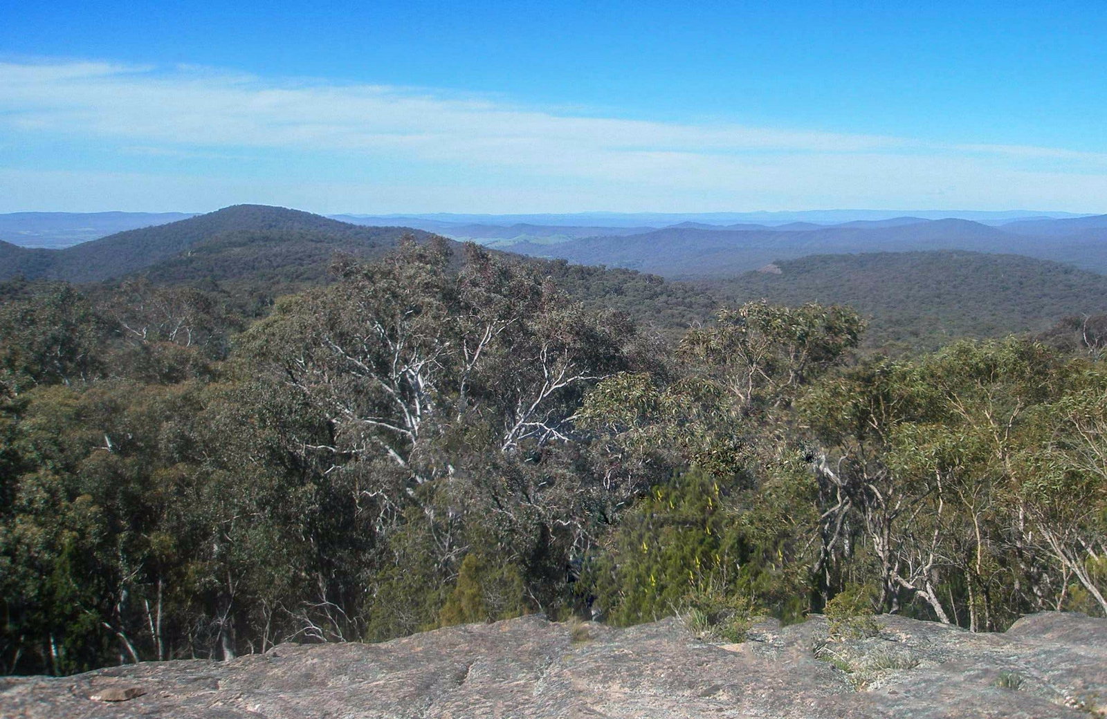 Wantagong NSW Tourism Brisbane