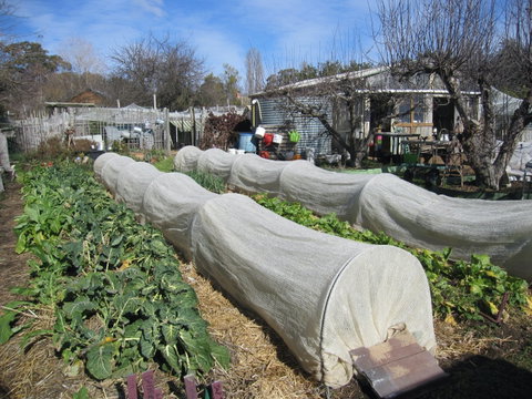 Wynlen House: Tour A Unique Urban Regenerative Farm And Market Garden - Tourism Brisbane 0