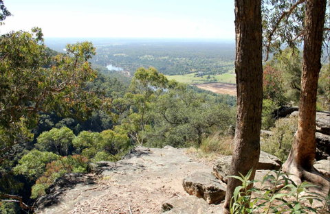 Yellow Rock Lookout - Tourism Brisbane 0