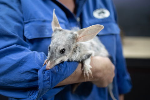 9 Day Outback Adventure - Tourism Brisbane 0