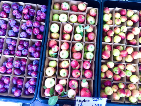 Adelaide Showground Farmers' Market - Tourism Brisbane 0