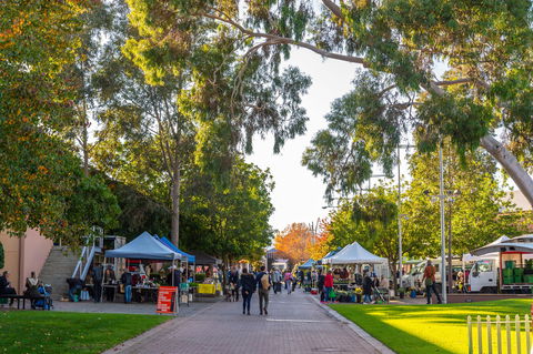 Adelaide Showground Farmers' Market - Tourism Brisbane 2