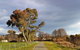 Adelong Falls Walk - thumb 0