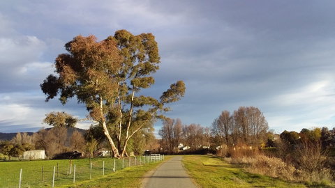 Adelong Falls Walk - Tourism Brisbane 0