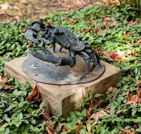 Antony Symons - Retrospective of a Life's Work - Tourism Brisbane